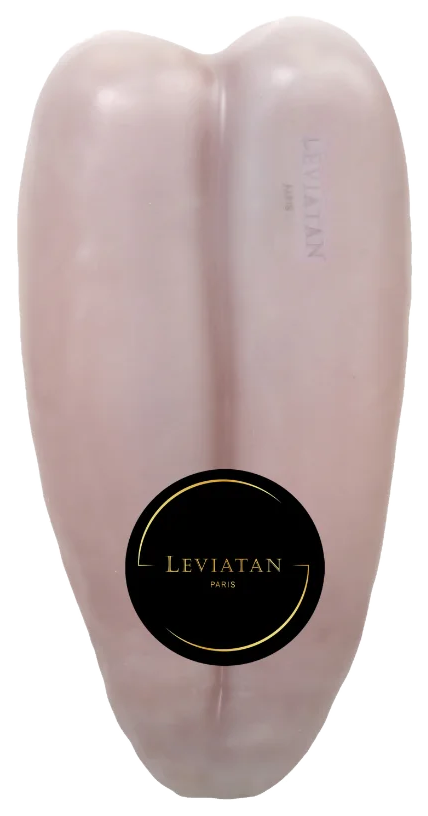 Poche de boutargue scellée sous cire blanche, marquée du sceau Leviatan Paris.